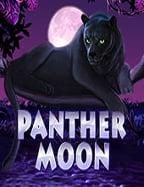 วิธีเล่นและถอนเงินใน สล็อต xo ให้เทพกว่าใคร